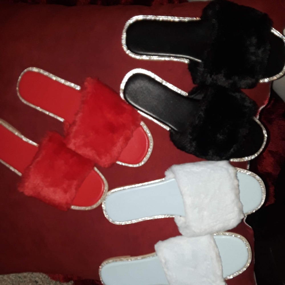 Slides